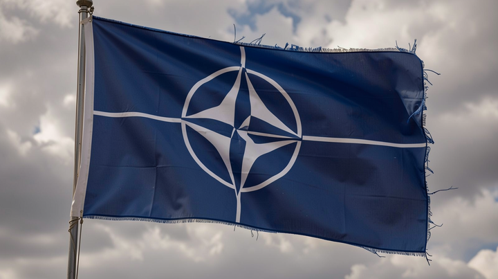 US Transactionalism Fragments European Defense